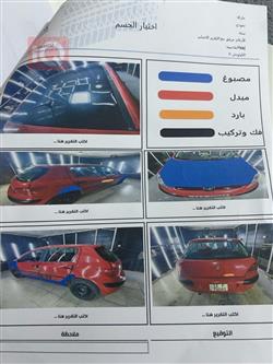 بيجو 307